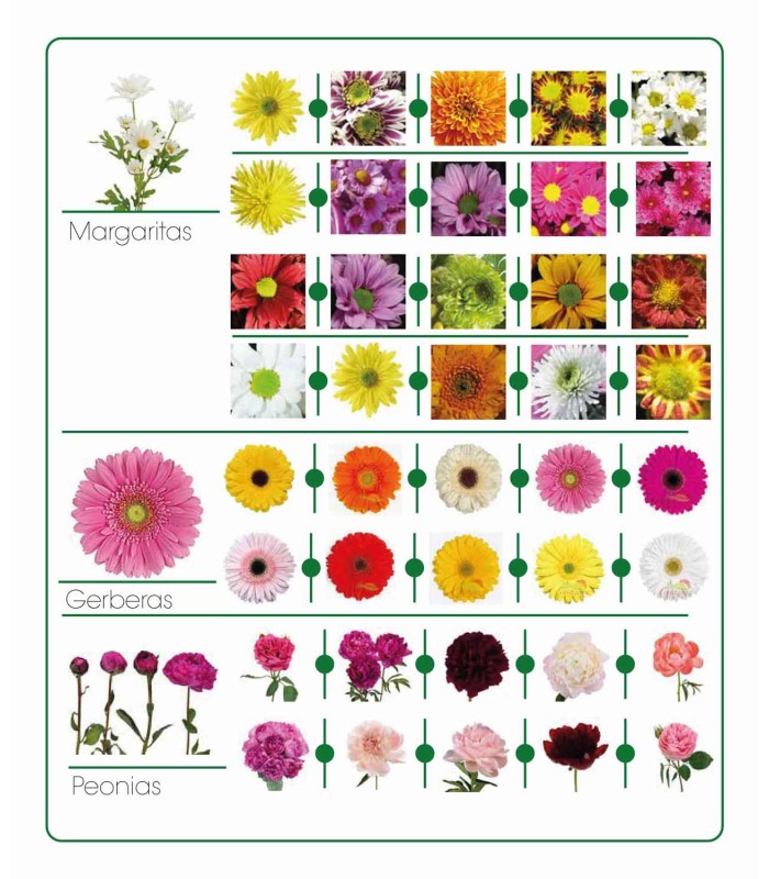 Catálogo de flores