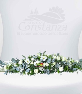 camino nevado