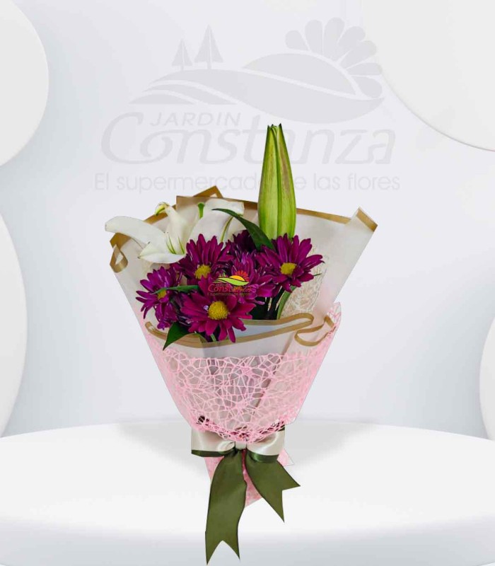 Encanto purpura