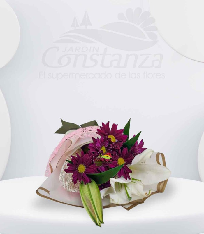 Encanto purpura