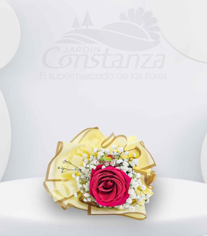 Luz Fucsia