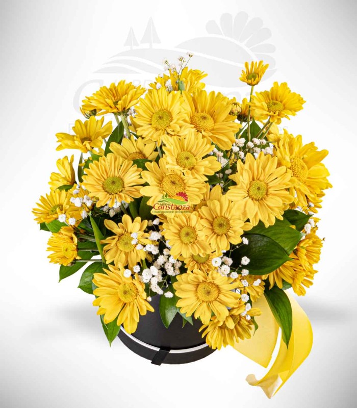 Secret yellow