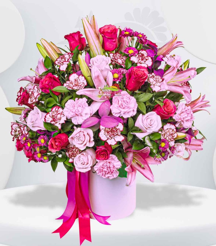 Encanto Rosado
