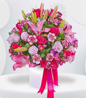 Encanto Rosado