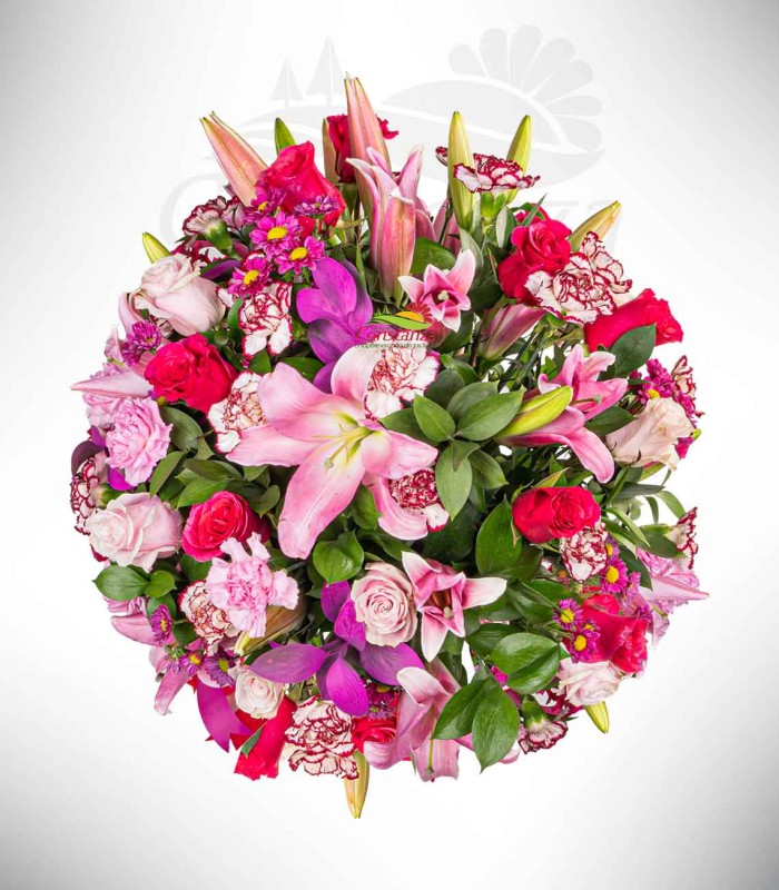 Encanto Rosado