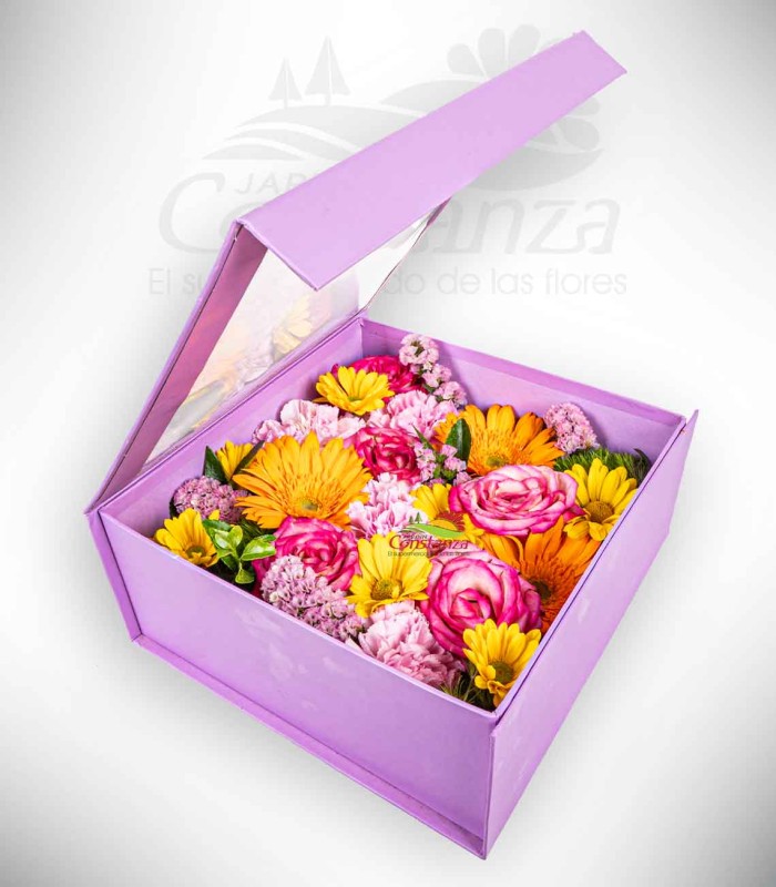 Impacto Floral