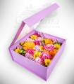 Impacto Floral