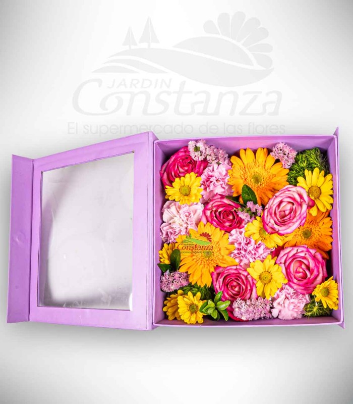 Impacto Floral