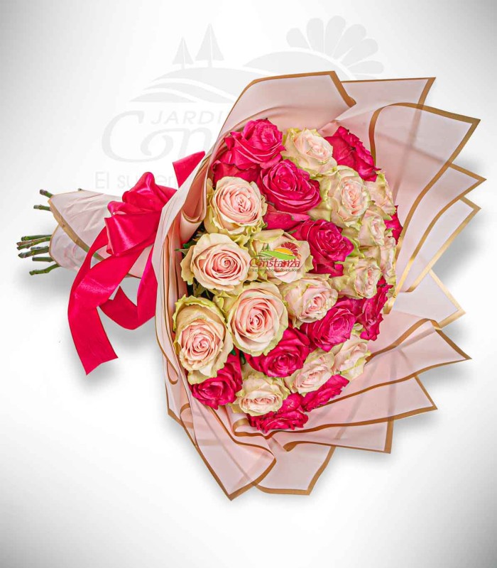 Espiral fucsia
