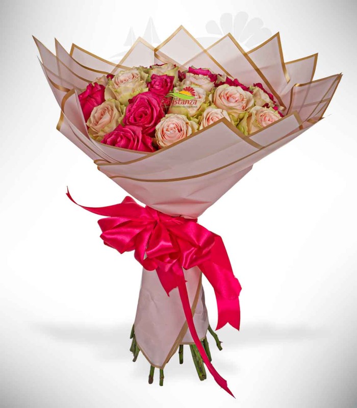 Espiral fucsia