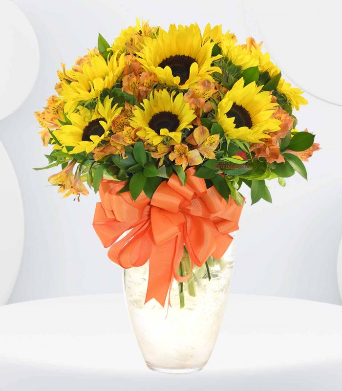 Resplandor brillante