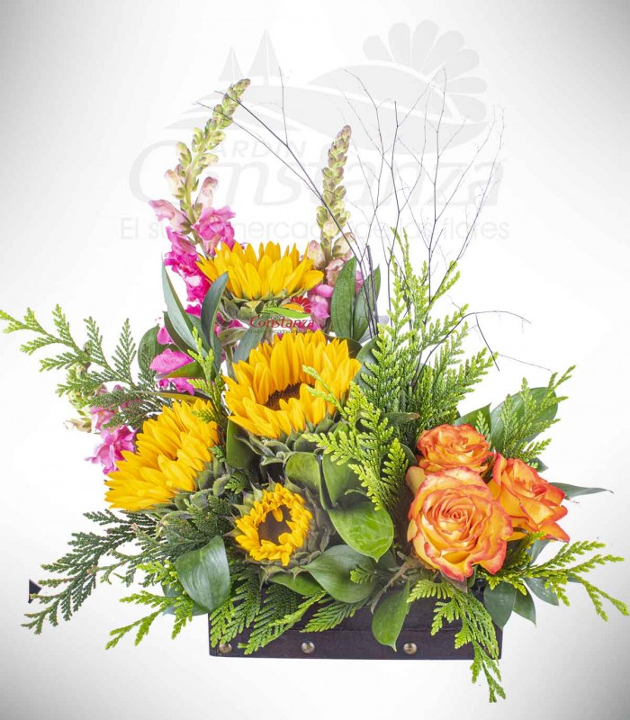 Pequeño girasol