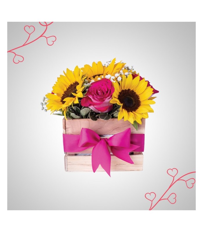 Sunny rose