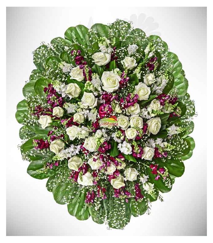 Rosas del jardín