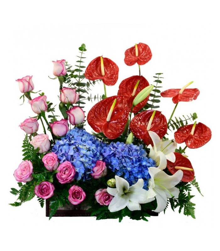 Mix garden