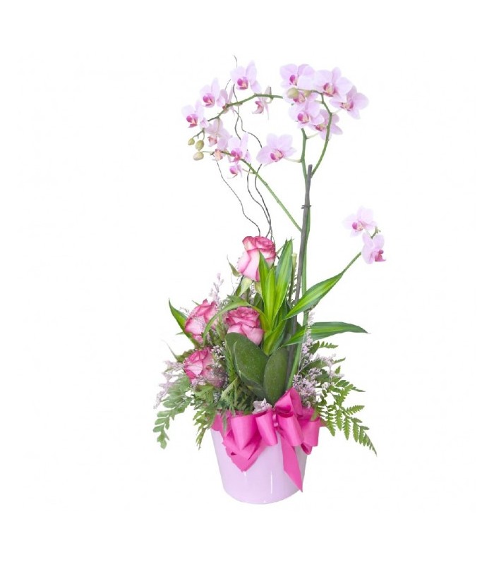Pinky Garden