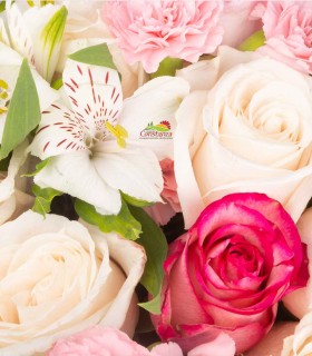 Rosse