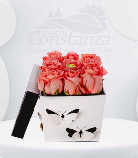 Ultra Rosa