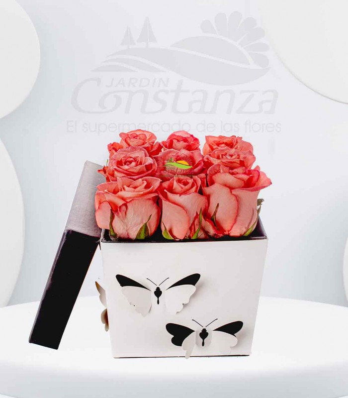 Ultra Rosa