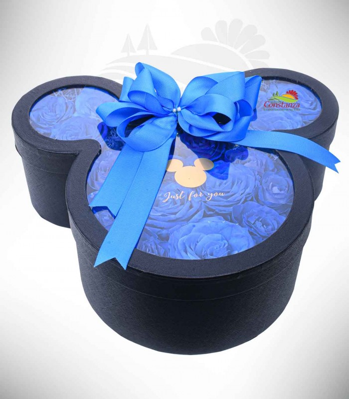 Blue mickey