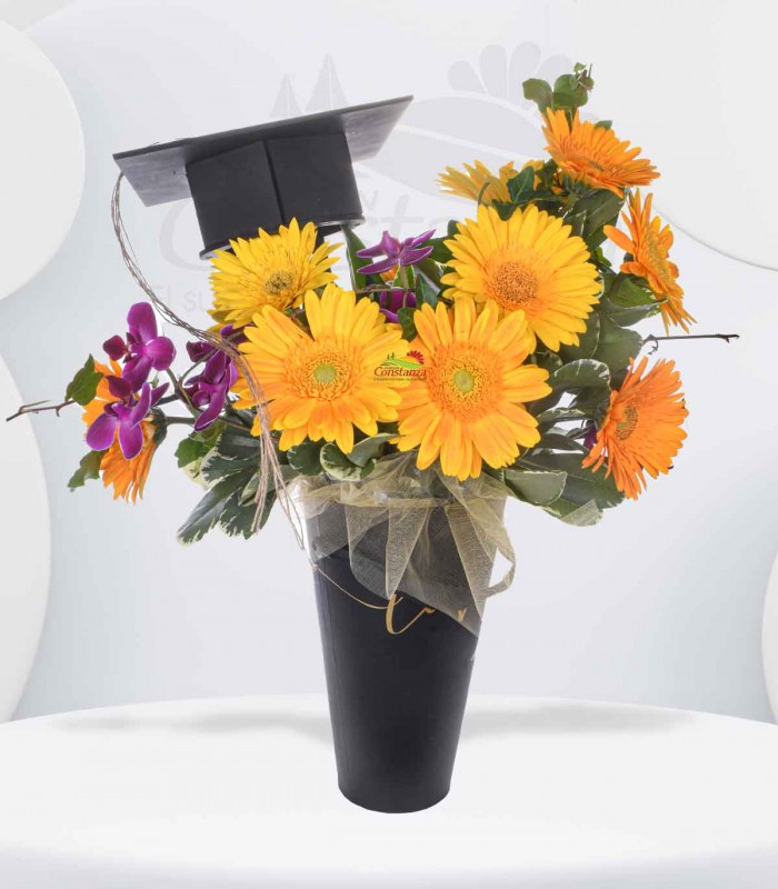 Gerberas day