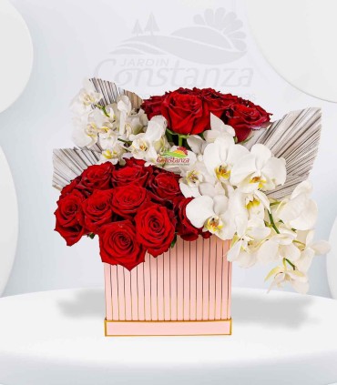 Bloom Love