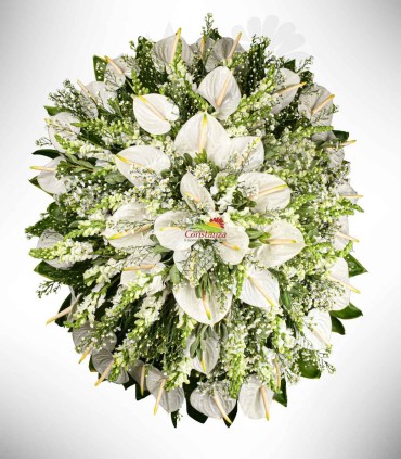Tributo Floral
