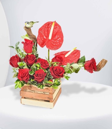 Corazón de Seda