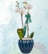orquideas2