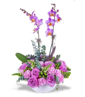 Exotix Berry