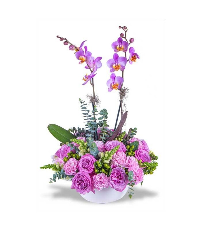 Orquídeas Composición