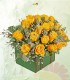 Baul Yellow tone
