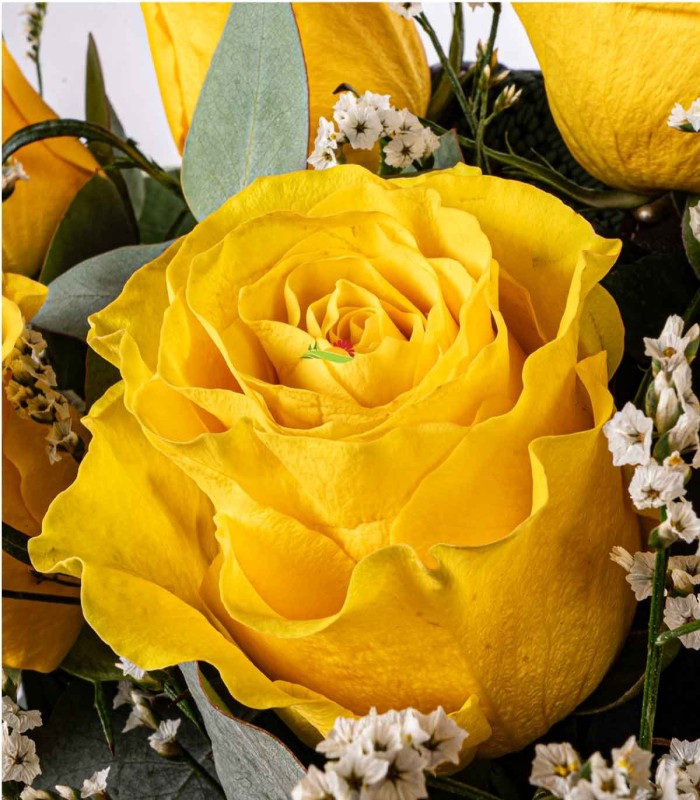 Baul Yellow tone