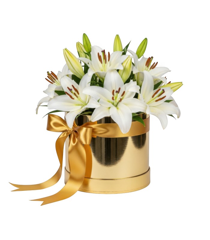 Lili Box