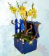 Baul de Orquideas