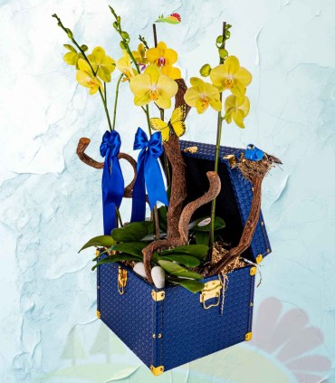 Baul de Orquideas