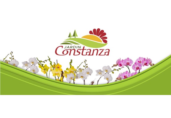 Como adquirir flores